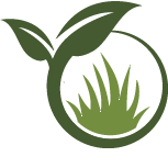 Tree Straightening Pros